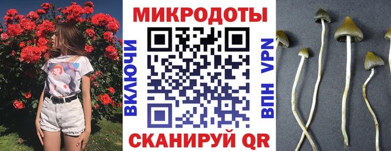 даркнет Telegram Сыктывкар Галлюциногенные грибы GOLDEN TEACHER